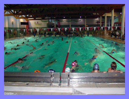 Das Wettkampfbecken in Hallein